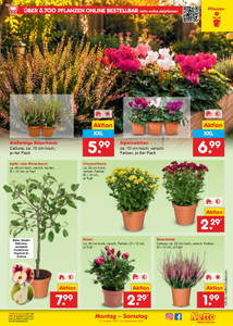 Netto Marken-Discount Prospekt - Angebote ab 31.08.