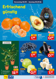 Netto Marken-Discount Prospekt - Angebote ab 31.08.