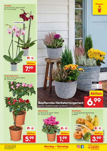 Netto Marken-Discount Prospekt - Angebote ab 07.09.