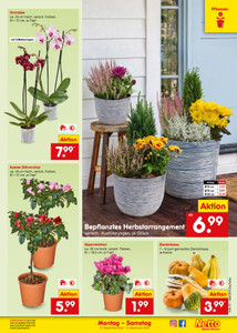 Netto Marken-Discount Prospekt - Angebote ab 07.09.