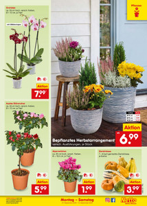 Netto Marken-Discount Prospekt - Angebote ab 07.09.