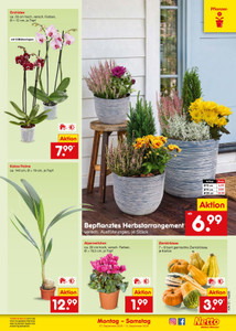 Netto Marken-Discount Prospekt - Angebote ab 07.09.