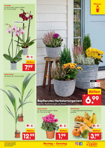 Netto Marken-Discount Prospekt - Angebote ab 07.09.