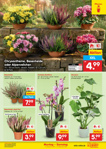 Netto Marken-Discount Prospekt - Angebote ab 14.09.