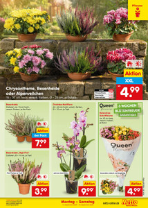 Netto Marken-Discount Prospekt - Angebote ab 14.09.