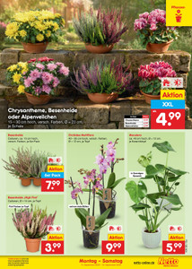 Netto Marken-Discount Prospekt - Angebote ab 14.09.