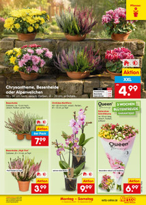 Netto Marken-Discount Prospekt - Angebote ab 14.09.
