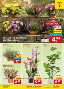 Netto Marken-Discount Prospekt - Angebote ab 14.09.