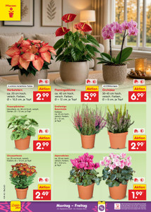 Netto Marken-Discount Prospekt - Angebote ab 28.09.