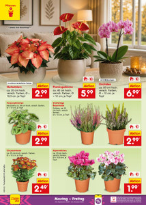 Netto Marken-Discount Prospekt - Angebote ab 28.09.