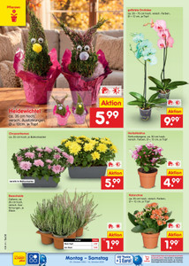 Netto Marken-Discount Prospekt - Angebote ab 05.10.