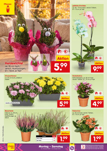 Netto Marken-Discount Prospekt - Angebote ab 05.10.