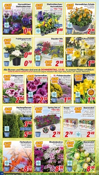 CENTERSHOP Prospekt - Gartensaison