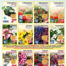 CENTERSHOP Prospekt Seite 3