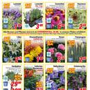CENTERSHOP Prospekt Seite 2