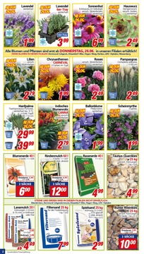 CENTERSHOP Prospekt - Angebote ab 23.06.