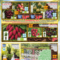 CENTERSHOP Prospekt Seite 2