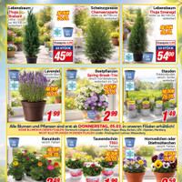 CENTERSHOP Prospekt Seite 3