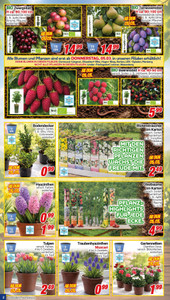 CENTERSHOP Prospekt - Angebote ab 02.03. - Seite 2