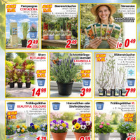 CENTERSHOP Prospekt - Blumen