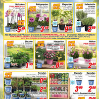 CENTERSHOP Prospekt Seite 3