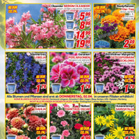 CENTERSHOP Prospekt Seite 3