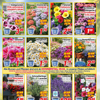 CENTERSHOP Prospekt Seite 2