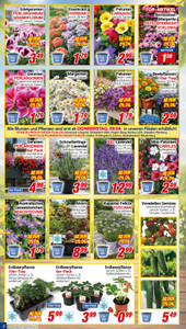 CENTERSHOP Prospekt - Angebote ab 07.04. - Seite 2