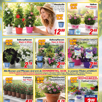 CENTERSHOP Prospekt Seite 2