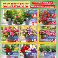 CENTERSHOP Prospekt Seite 2