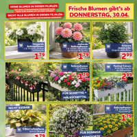 CENTERSHOP Prospekt Seite 3