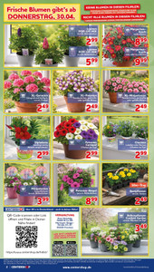 CENTERSHOP Prospekt - Angebote ab 27.04. - Seite 2