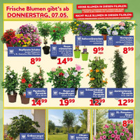 CENTERSHOP Prospekt Seite 2