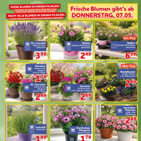 CENTERSHOP Prospekt Seite 3