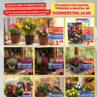 CENTERSHOP Prospekt Seite 3
