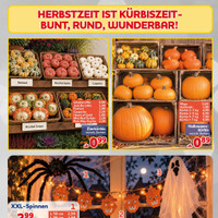 CENTERSHOP Prospekt Seite 3