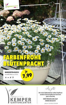 Gartencenter Kemper Prospekt - Farbenfrohe Blütenpracht