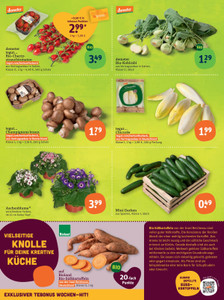 tegut... Prospekt - Angebote ab 26.01.