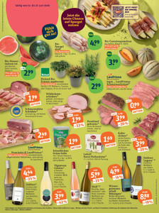 tegut... Prospekt - Angebote ab 22.06.