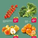 NETTO Prospekt - Obst & Gemüse