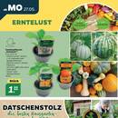 NETTO Prospekt - Obst & Gemüse