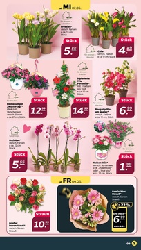 NETTO Prospekt - Angebote ab 05.05.