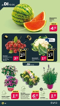 NETTO Prospekt - Angebote ab 10.06.