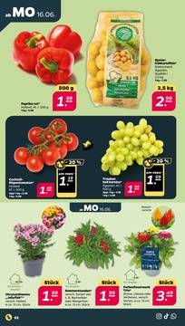 NETTO Prospekt - Angebote ab 16.06.