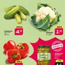 NETTO Prospekt Seite 3