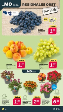 NETTO Prospekt - Angebote ab 07.07.