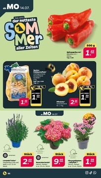NETTO Prospekt - Angebote ab 14.07.