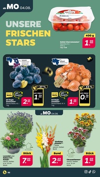 NETTO Prospekt - Angebote ab 04.08.