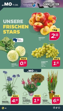 NETTO Prospekt - Angebote ab 11.08.