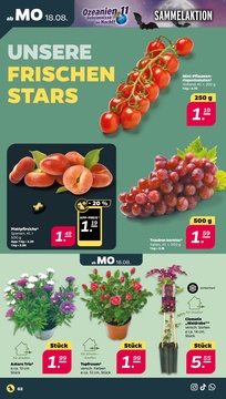 NETTO Prospekt - Angebote ab 18.08.